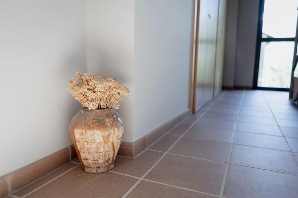 Casa Llop A Pauels, Vall Fosca Pauls de Flamisells エクステリア 写真